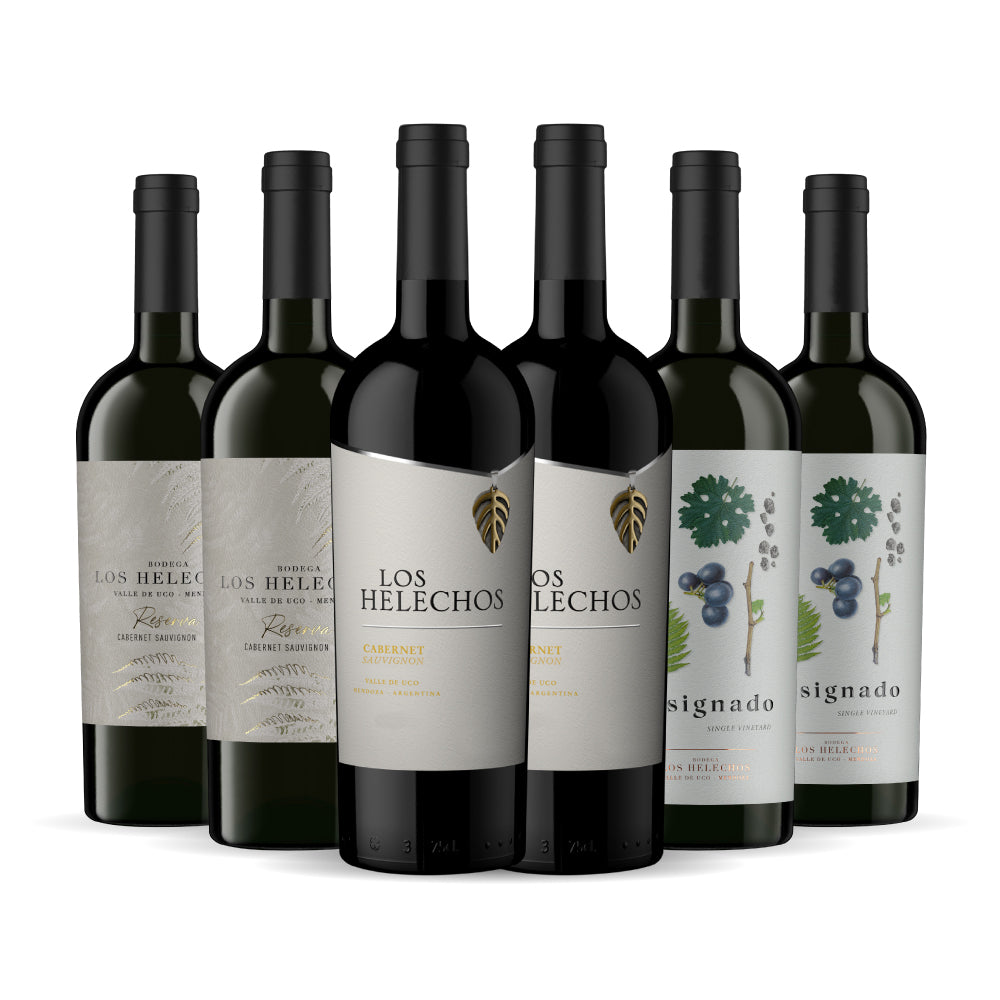Caja Premium Cabernet Sauvignon 6x750 ml