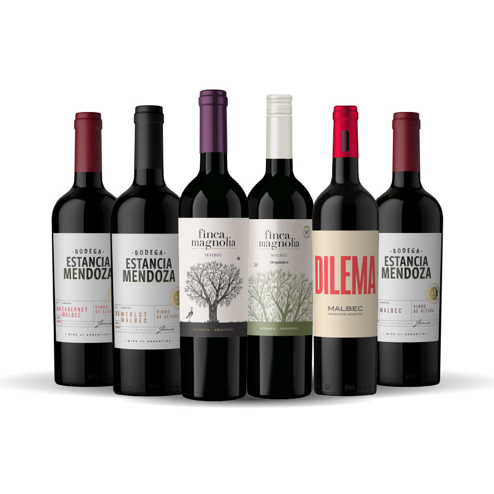 Caja Mix Malbec Joven x6 750 ml